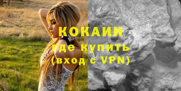 дживик Алзамай
