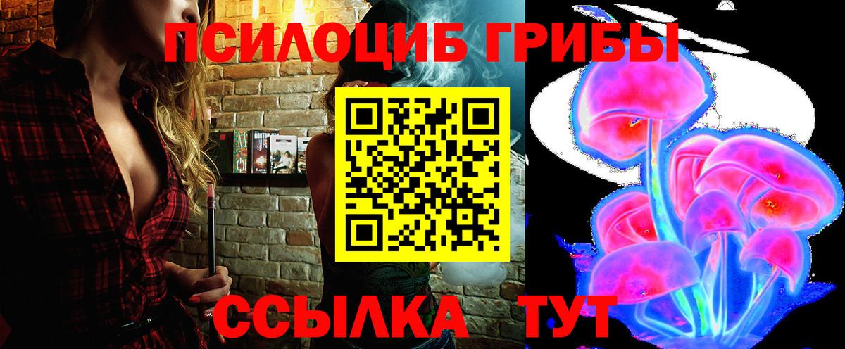 Учалы  сколько стоит  Вход с VPN  Галлюциногенные грибы Psilocybe  Псилоцибиновые грибы Psilocybe 
